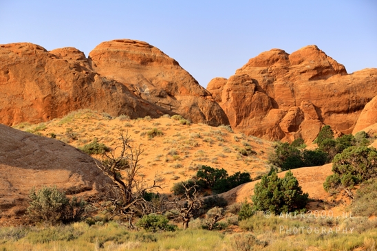 Arches_National_Park_Moab_Utah_USA_Turret_Arch_and_Window_landscape_nature_Photography_107_Canon_EOS_R5_Mark_II.JPG