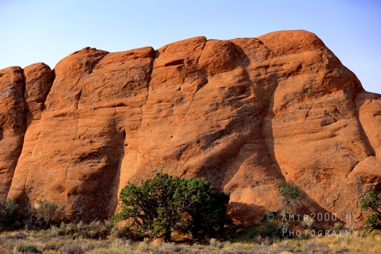 Arches_National_Park_Moab_Utah_USA_Turret_Arch_and_Window_landscape_nature_Photography_111_Canon_EOS_R5_Mark_II.JPG