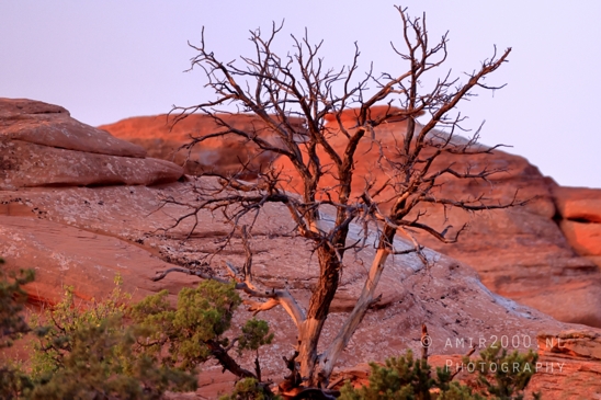 Arches_National_Park_Moab_Utah_USA_and_rock_formations_red_cliffs_landscape_nature_Photography_072_Canon_EOS_R5_Mark_II.JPG
