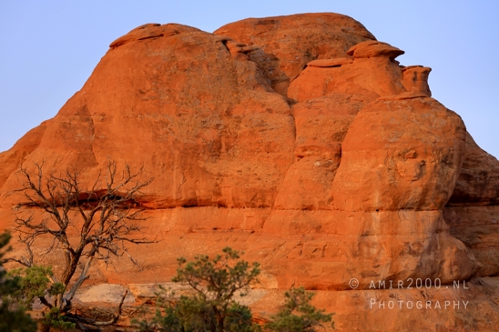 Arches_National_Park_Moab_Utah_USA_and_rock_formations_red_cliffs_landscape_nature_Photography_073_Canon_EOS_R5_Mark_II.JPG