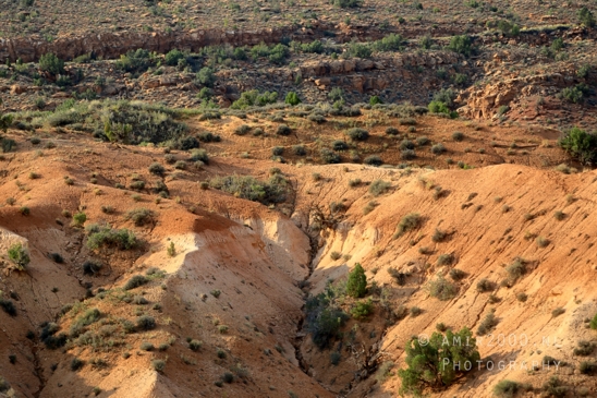 Arches_National_Park_Moab_Utah_USA_and_rock_formations_red_cliffs_landscape_nature_Photography_084_Canon_EOS_R5_Mark_II.JPG