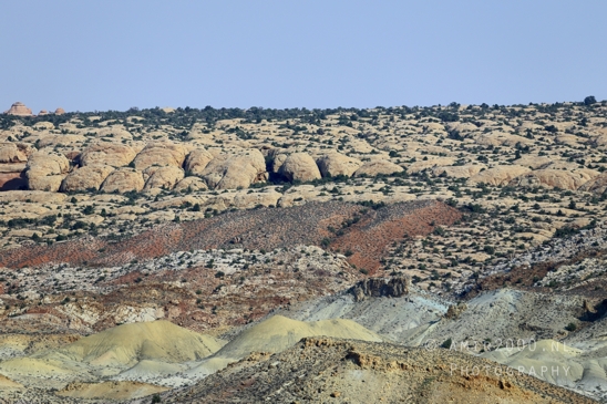 Arches_National_Park_Moab_Utah_USA_and_rock_formations_red_cliffs_landscape_nature_Photography_095_Canon_EOS_R5_Mark_II.JPG