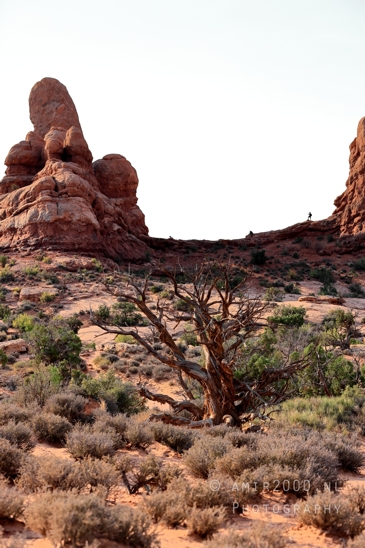 Arches_National_Park_Moab_Utah_USA_and_rock_formations_red_cliffs_landscape_nature_Photography_132_Canon_EOS_R5_Mark_II.JPG
