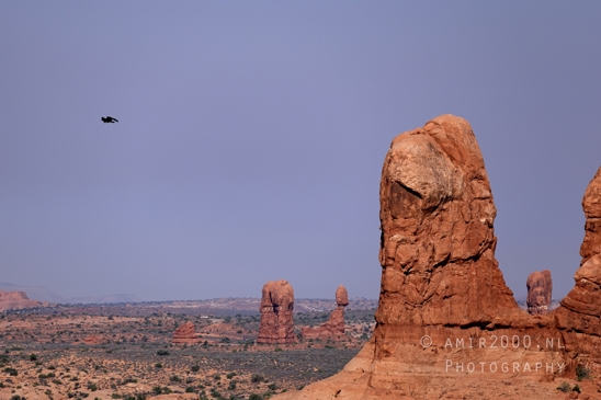 Arches_National_Park_Moab_Utah_USA_and_rock_formations_red_cliffs_landscape_nature_Photography_135_Canon_EOS_R5_Mark_II.JPG