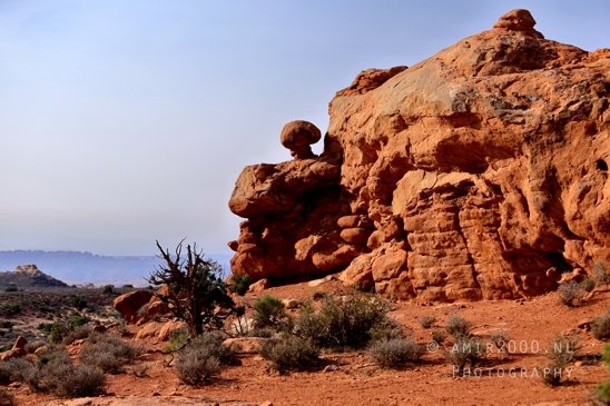 Arches_National_Park_Moab_Utah_USA_and_rock_formations_red_cliffs_landscape_nature_Photography_149_Canon_EOS_R5_Mark_II.JPG