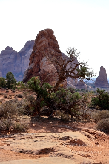 Arches_National_Park_Moab_Utah_USA_and_rock_formations_red_cliffs_landscape_nature_Photography_154_Canon_EOS_R5_Mark_II.JPG
