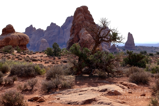 Arches_National_Park_Moab_Utah_USA_and_rock_formations_red_cliffs_landscape_nature_Photography_155_Canon_EOS_R5_Mark_II.JPG