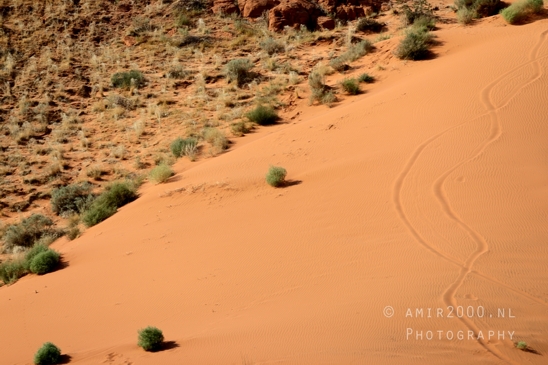 Arches_National_Park_Moab_Utah_USA_and_rock_formations_red_cliffs_landscape_nature_Photography_218_Canon_EOS_R5_Mark_II.JPG