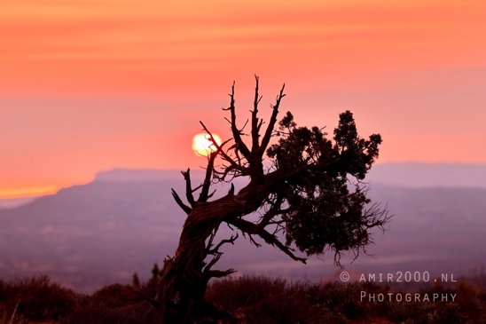 Arches_National_Park_sunrise_colors_Moab_Utah_USA_landscape_nature_Photography_031_Canon_EOS_R5_Mark_II.JPG