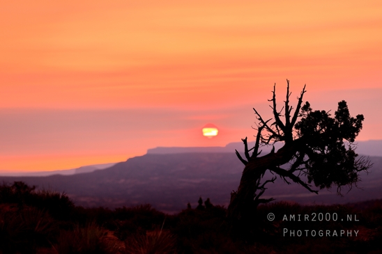 Arches_National_Park_sunrise_colors_Moab_Utah_USA_landscape_nature_Photography_034_Canon_EOS_R5_Mark_II.JPG