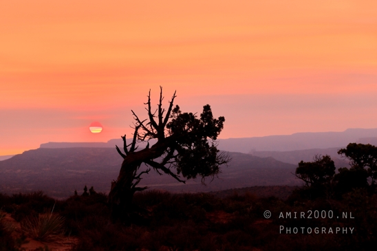 Arches_National_Park_sunrise_colors_Moab_Utah_USA_landscape_nature_Photography_036_Canon_EOS_R5_Mark_II.JPG