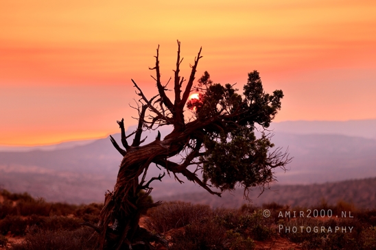 Arches_National_Park_sunrise_colors_Moab_Utah_USA_landscape_nature_Photography_039_Canon_EOS_R5_Mark_II.JPG