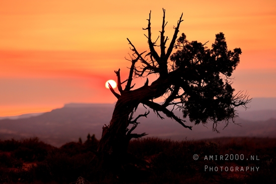 Arches_National_Park_sunrise_colors_Moab_Utah_USA_landscape_nature_Photography_043_Canon_EOS_R5_Mark_II.JPG