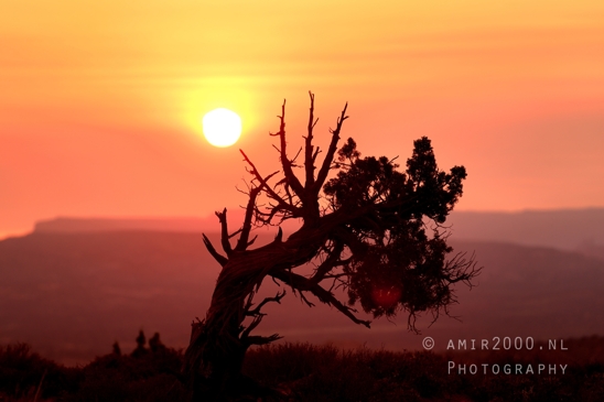 Arches_National_Park_sunrise_colors_Moab_Utah_USA_landscape_nature_Photography_046_Canon_EOS_R5_Mark_II.JPG