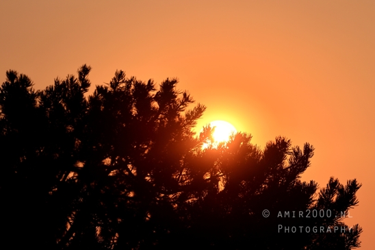 Arches_National_Park_sunrise_colors_Moab_Utah_USA_landscape_nature_Photography_058_Canon_EOS_R5_Mark_II.JPG