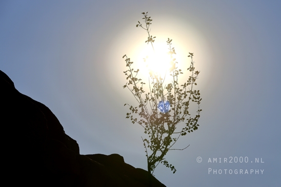 Arches_National_Park_sunrise_colors_Moab_Utah_USA_landscape_nature_Photography_074_Canon_EOS_R5_Mark_II.JPG