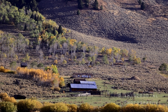 Cameron_Montana_USA_landscape_nature_Photography_088_Canon_EOS_R5_Mark_II.JPG