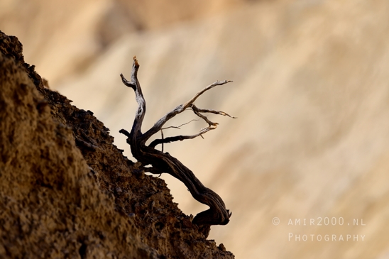 Death_Valley_National_Park_California_USA_Golden_Canyon_nature_landscape_Rock_Formations_Photography_026_Canon_EOS_R5_Mark_II.JPG