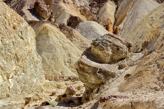 Death_Valley_National_Park_California_USA_Golden_Canyon_nature_landscape_Rock_Formations_Photography_031_Canon_EOS_R5_Mark_II.JPG