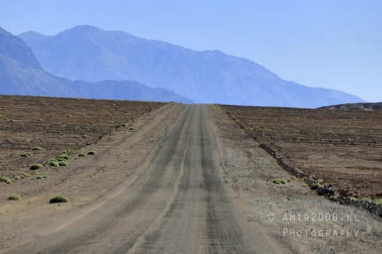 Death_Valley_National_Park_California_USA_Road_Trip_Desert_Landscape_Photography_019_Canon_EOS_R5_Mark_II.JPG