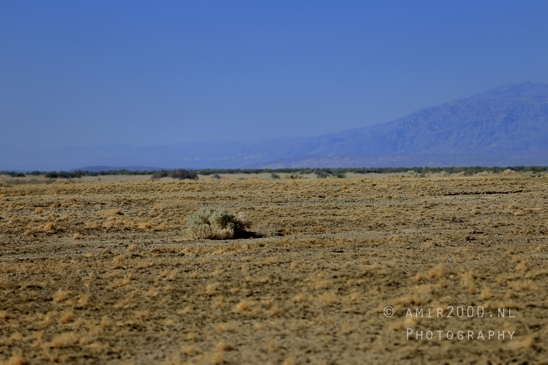 Death_Valley_National_Park_California_USA_Road_Trip_Desert_Landscape_Photography_030_Canon_EOS_R5_Mark_II.JPG