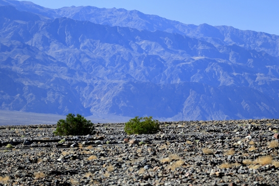Death_Valley_National_Park_California_USA_Road_Trip_Desert_Landscape_Photography_041_Canon_EOS_R5_Mark_II.JPG