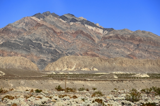 Death_Valley_National_Park_California_USA_Road_Trip_Desert_Landscape_Photography_065_Canon_EOS_R5_Mark_II.JPG