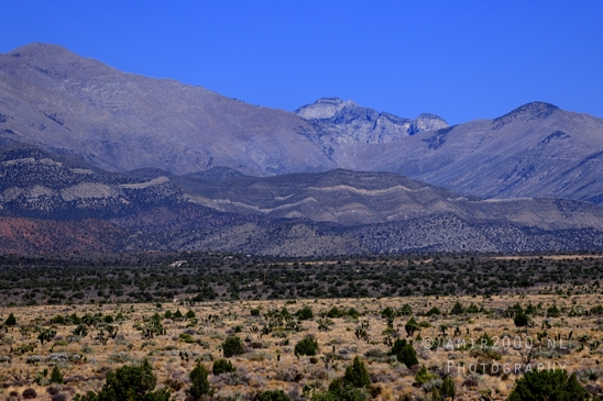 On_the_way_to_Death_Valley_National_Park_and_Junction_Historic_District_California_Nevada_USA_nature_landscape_desert_Photography_015_Canon_EOS_R5_Mark_II.JPG
