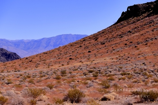 On_the_way_to_Death_Valley_National_Park_and_Junction_Historic_District_California_Nevada_USA_nature_landscape_desert_Photography_045_Canon_EOS_R5_Mark_II.JPG