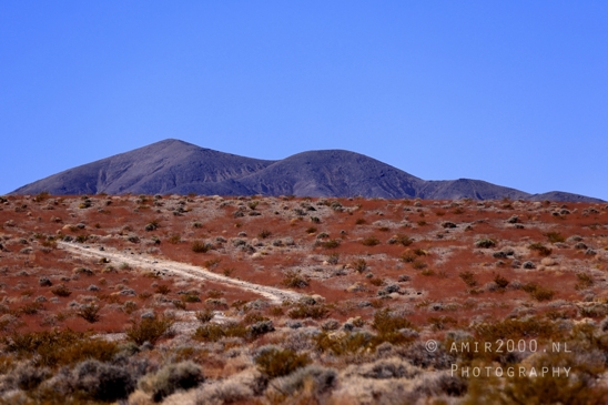 On_the_way_to_Death_Valley_National_Park_and_Junction_Historic_District_California_Nevada_USA_nature_landscape_desert_Photography_047_Canon_EOS_R5_Mark_II.JPG
