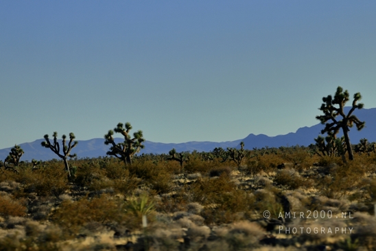 On_the_way_to_Death_Valley_National_Park_and_Junction_Historic_District_California_Nevada_USA_nature_landscape_desert_Photography_158_Canon_EOS_R5_Mark_II.JPG