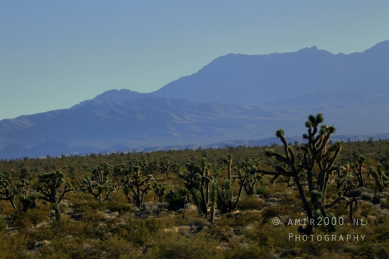 On_the_way_to_Death_Valley_National_Park_and_Junction_Historic_District_California_Nevada_USA_nature_landscape_desert_Photography_159_Canon_EOS_R5_Mark_II.JPG