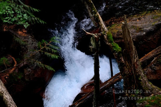 Avalanche_Lake_Glacier_National_Park_Montana_USA_landscape_nature_Photography_006_Canon_EOS_R5_Mark_II.JPG