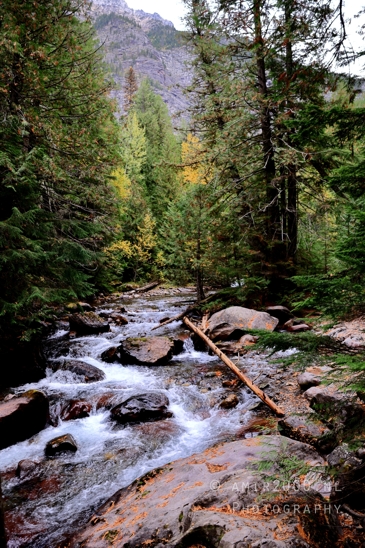 Avalanche_Lake_Glacier_National_Park_Montana_USA_landscape_nature_Photography_010_Canon_EOS_R5_Mark_II.JPG