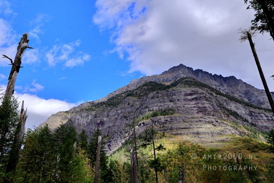 Avalanche_Lake_Glacier_National_Park_Montana_USA_landscape_nature_Photography_026_Canon_EOS_R5_Mark_II.JPG