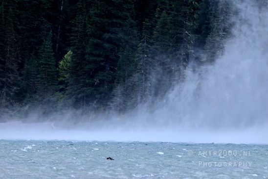 Avalanche_Lake_Glacier_National_Park_Montana_USA_landscape_nature_Photography_039_Canon_EOS_R5_Mark_II.JPG