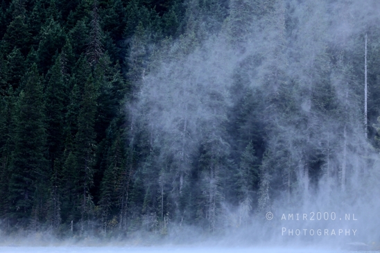 Avalanche_Lake_Glacier_National_Park_Montana_USA_landscape_nature_Photography_042_Canon_EOS_R5_Mark_II.JPG