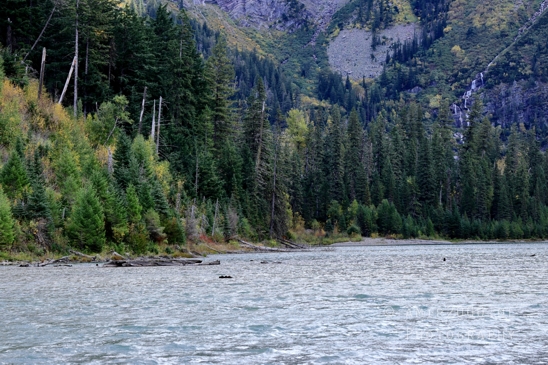 Avalanche_Lake_Glacier_National_Park_Montana_USA_landscape_nature_Photography_043_Canon_EOS_R5_Mark_II.JPG