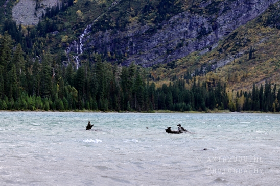 Avalanche_Lake_Glacier_National_Park_Montana_USA_landscape_nature_Photography_048_Canon_EOS_R5_Mark_II.JPG