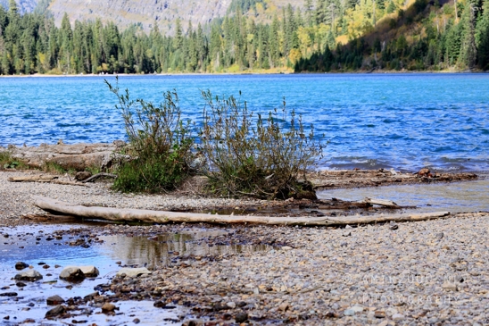 Avalanche_Lake_Glacier_National_Park_Montana_USA_landscape_nature_Photography_059_Canon_EOS_R5_Mark_II.JPG