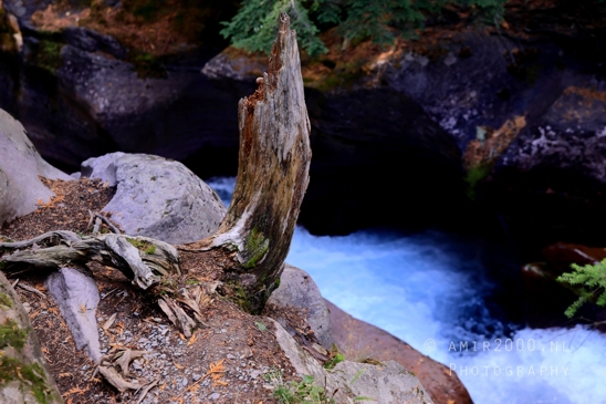 Avalanche_Lake_Glacier_National_Park_Montana_USA_landscape_nature_Photography_083_Canon_EOS_R5_Mark_II.JPG
