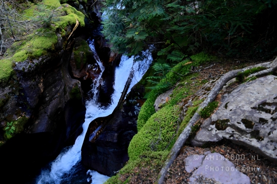 Avalanche_Lake_Glacier_National_Park_Montana_USA_landscape_nature_Photography_084_Canon_EOS_R5_Mark_II.JPG