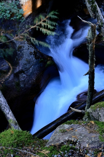 Avalanche_Lake_Glacier_National_Park_Montana_USA_landscape_nature_Photography_087_Canon_EOS_R5_Mark_II.JPG