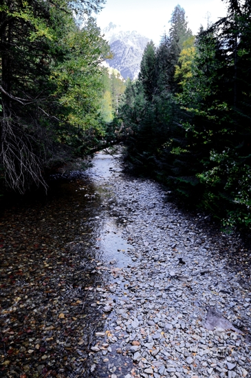 Avalanche_Lake_Glacier_National_Park_Montana_USA_landscape_nature_Photography_090_Canon_EOS_R5_Mark_II.JPG