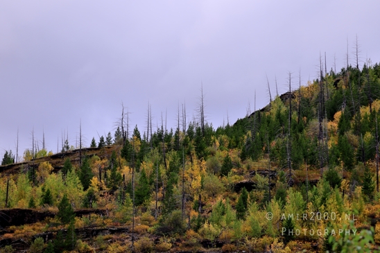 Glacier_National_Park_Montana_USA_landscape_nature_Photography_039_Canon_EOS_R5_Mark_II.JPG