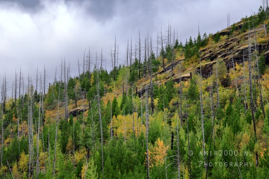 Glacier_National_Park_Montana_USA_landscape_nature_Photography_045_Canon_EOS_R5_Mark_II.JPG