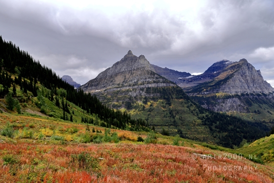 Glacier_National_Park_Montana_USA_landscape_nature_Photography_080_Canon_EOS_R5_Mark_II.JPG