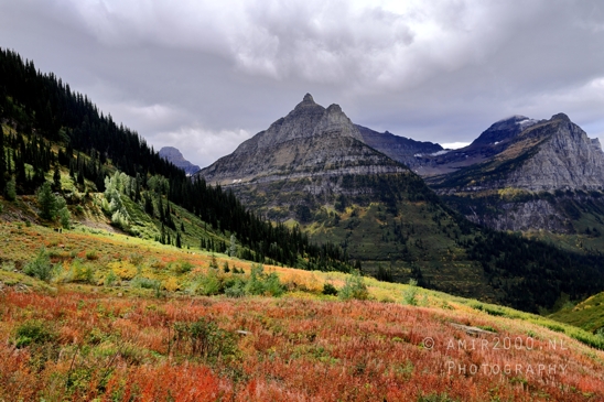 Glacier_National_Park_Montana_USA_landscape_nature_Photography_082_Canon_EOS_R5_Mark_II.JPG