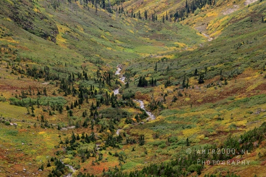 Glacier_National_Park_Montana_USA_landscape_nature_Photography_092_Canon_EOS_R5_Mark_II.JPG