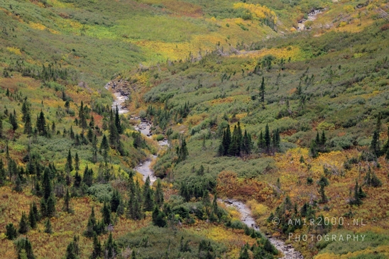 Glacier_National_Park_Montana_USA_landscape_nature_Photography_093_Canon_EOS_R5_Mark_II.JPG